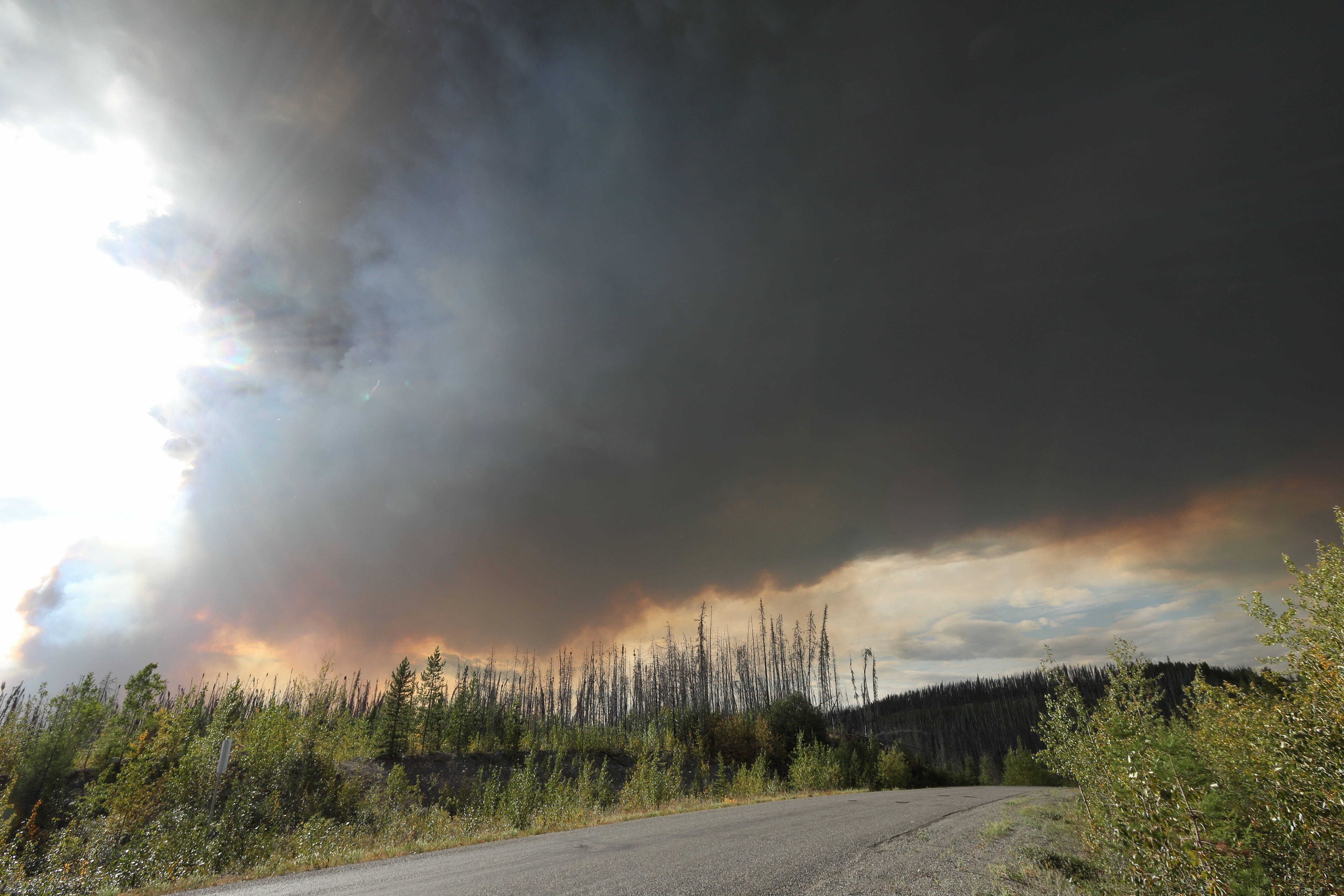 Alberta Wildfires: Where to Donate and How to Help